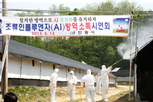 가금사육농에‘AI 경각심 제고’
