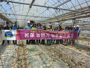 구미 주민생활지원과, 오이따기 일손돕기