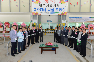 영주축협 전자경매가축시장 ‘완공’