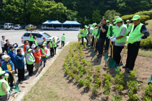 영주소백산‘철쭉꽃나무’식재
