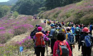 “등산화, 제대로 알고 신으세요”