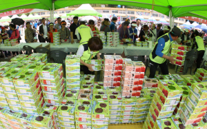 새콤 달콤 산딸기‘맛의 향연’