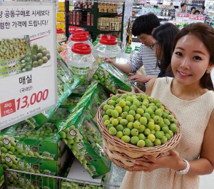 “매실주, 도수 낮은 술에 담그세요”