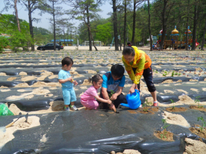 창의ㆍ인성 모델학교‘배움 실천’