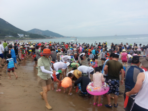 화진해수욕장 최고 인파 몰려
