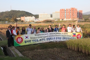 필리핀 새마을 연수단 “벼 수확하러 왔어요”