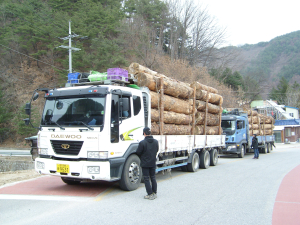 ‘소나무재선충병’ 차단 안간힘