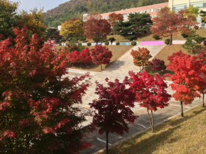 울긋불긋한 ‘만추의 절경’