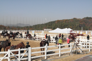 상주서 잇단 말축제…승마도시 ‘우뚝’