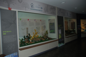 포항바다화석박물관 ‘숲의 이야기 展’