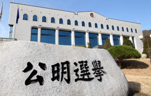 與, 디도스 파문 ‘핵폭탄급 후폭풍’