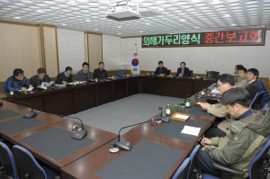 울릉군, 가두리 양식 첫 시도