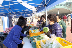 포항시, 지역 농ㆍ특산물 ‘싸게 판다’