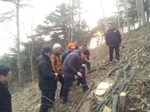 영덕, 소나무재선충병 방제활동 ‘구슬땀’