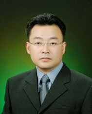 “태양전지 효율, 스펀지가 향상시킨다”