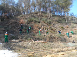 봉화군, 공공 산림가꾸기 사업 착수