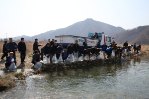 영덕군, 황금은어 방류 나섰다