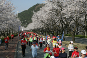 경주벚꽃마라톤대회, 31개국 참가