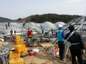 열관리協, 대설 피해 복구 ‘구슬땀’