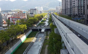 市, 범어천 생태하천복원 착수