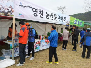 “마늘·양파 먹고 건강 챙기세요”