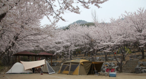 팔공산 가산산성 야영장 전면 개장