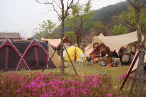 캠핑 카페 ‘대출대도’ 고령 찾다