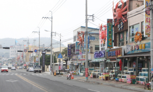 포항, 음식테마거리 조성 탄력