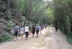 “경북 옛길 걸으며 역사·자연 배운다”