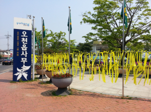 포항시 오천읍 ‘노란리본 달기 캠페인’ 전개