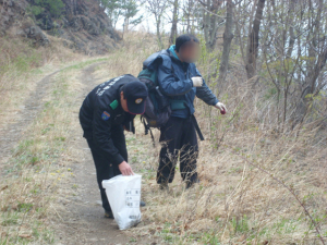 산나물ㆍ약초 불법채취 단속