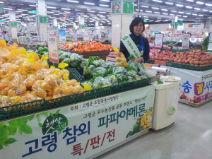 고령 참외·멜론, 대구서 만나다