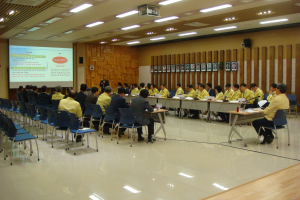 고령군, 관광활성화 중간보고회