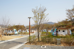 안동 단호샌드파크캠핑장 개장