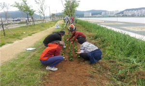 포항시 연일읍 ‘명품 꽃길’ 조성
