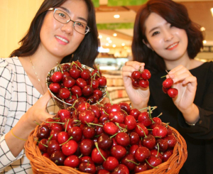 포항 롯데百, 새콤달콤 ‘체리’ 선봬