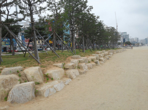 영일대해수욕장, 해송수림대 차수벽 설치