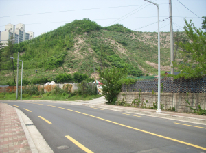 살아난 용흥동 탑산, 다시 죽이나