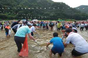 영덕군, 황금은어축제 막 오른다
