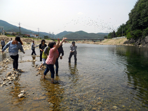 동창천 수질정화 개선 ‘다슬기 방류’