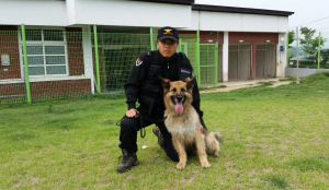 119인명구조견, 산악 실종자 잇달아 구조