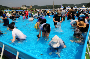 물 오른 여름, 물 만난 ‘봉화은어축제’
