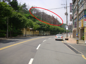 용흥산 산림복원 늑장행정…주민들 원성
