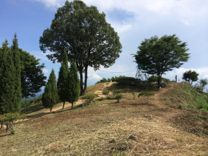 예천군, 봉덕산 등산로 새 단장