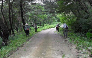 포항시 북구청, 18일부터 임도 정비 작업