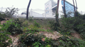주차장 지반침하 가속화…산사태 위험
