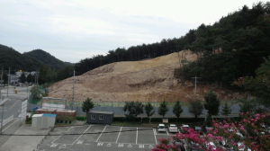 비산먼지 풀풀…비 오면 진흙탕 길