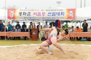 송이 축제서 ‘으랏차차 씨름 한판’