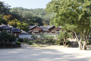 안동 선성현 문화단지 조성 본격화