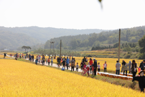 의성 모흥황토마을, 메뚜기잡기ㆍ사과따기 체험행사